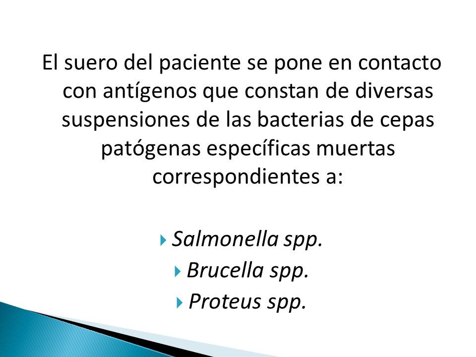 El suero del paciente se pone en contacto con antígenos que constan de diversas suspensiones de las bacterias de cepas patógenas específicas muertas correspondientes a: