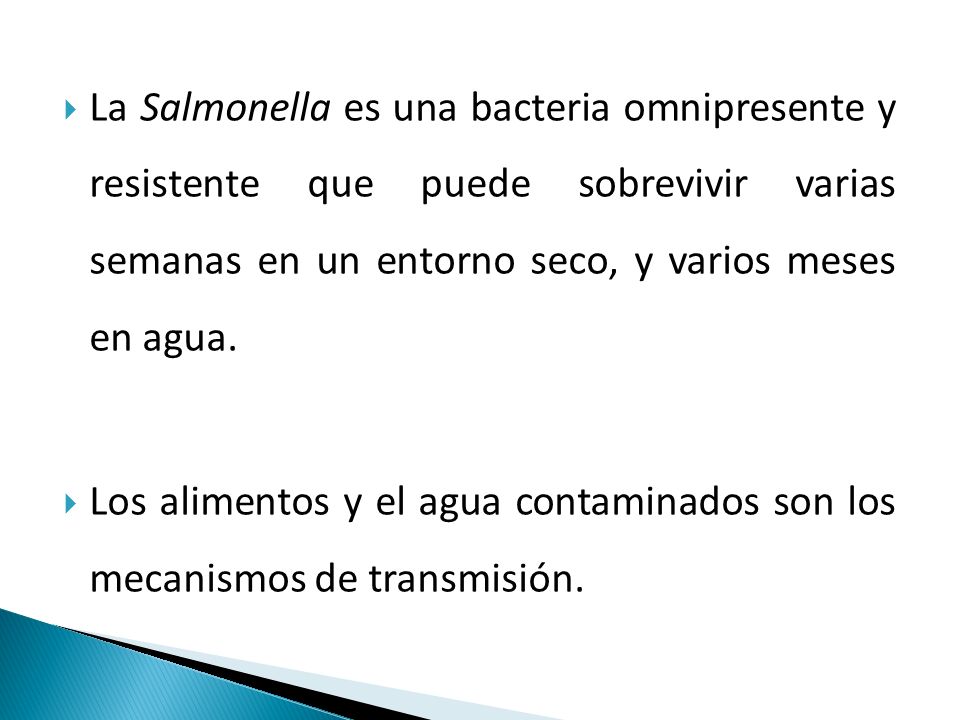 La Salmonella es una bacteria omnipresente y resistente que puede sobrevivir varias semanas en un entorno seco, y varios meses en agua.