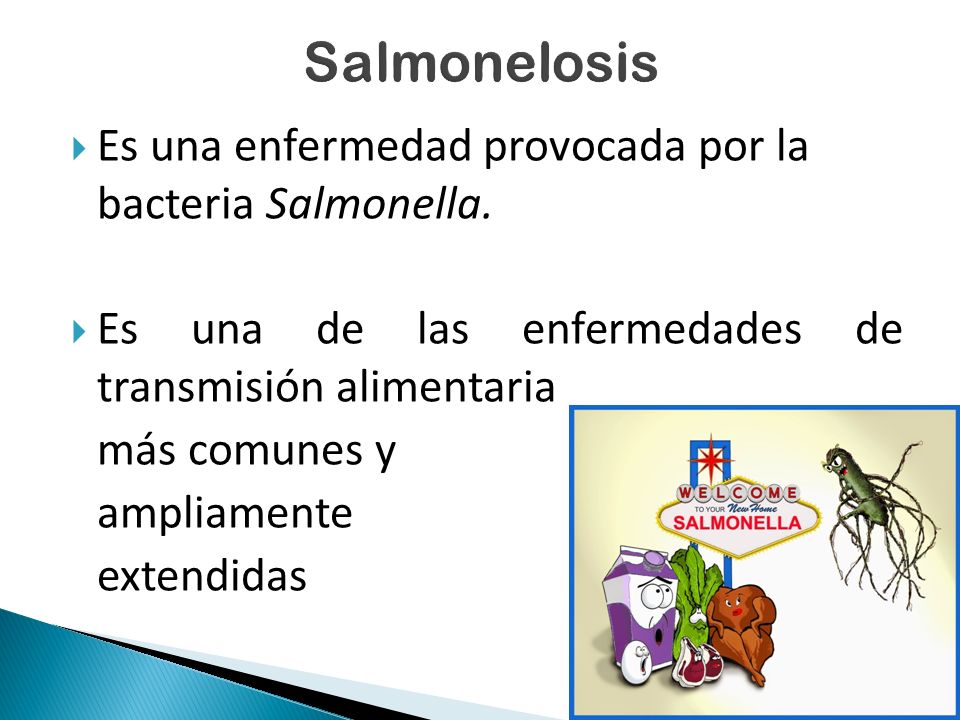 Salmonelosis Es una enfermedad provocada por la bacteria Salmonella.