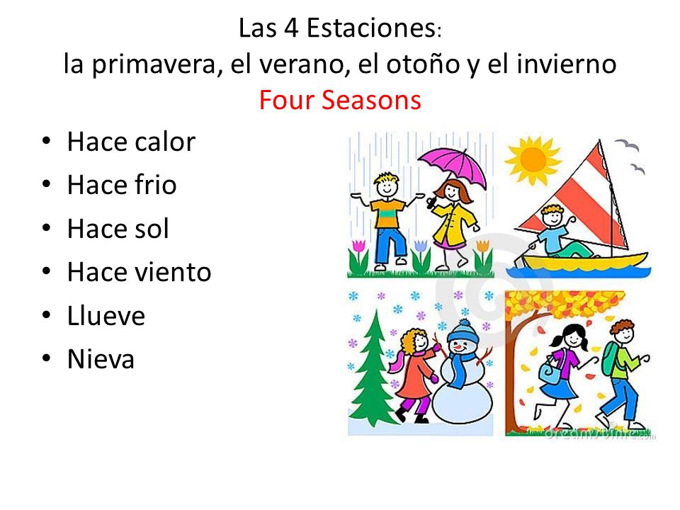 Las 4 Estaciones: la primavera, el verano, el otoño y el invierno Four Seasons