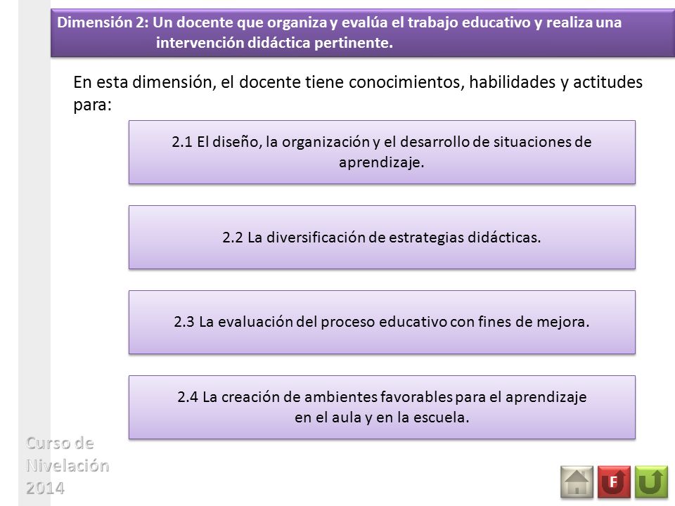 Dimensión 2: Un docente que organiza y evalúa el trabajo educativo y realiza una intervención didáctica pertinente.