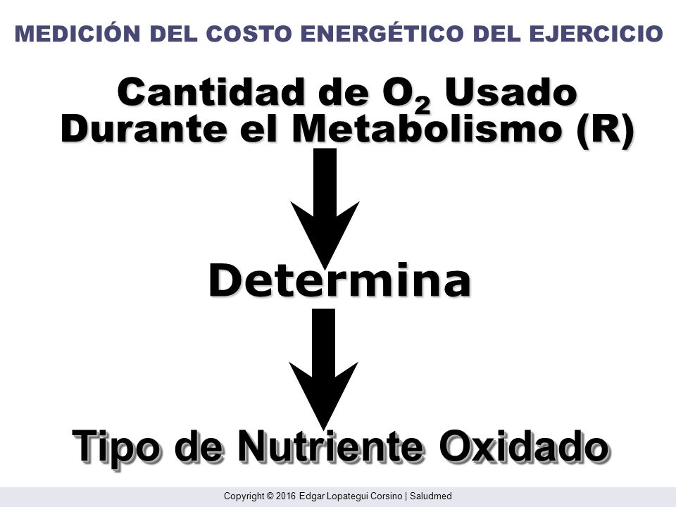 Durante el Metabolismo (R) Tipo de Nutriente Oxidado