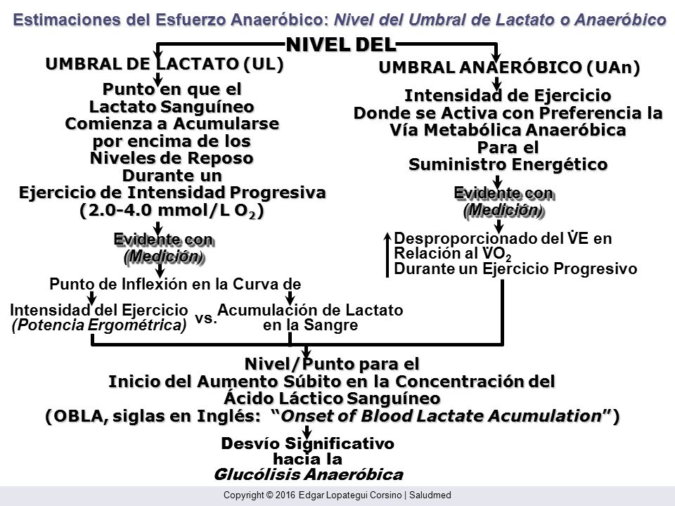 Estimaciones del Esfuerzo Anaeróbico: Nivel del Umbral de Lactato o Anaeróbico