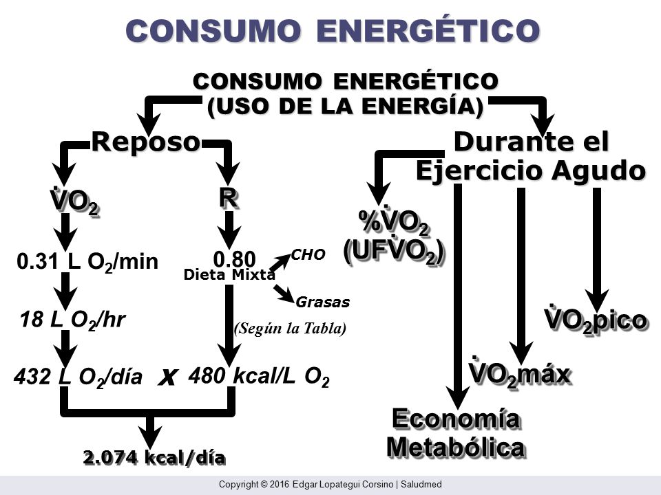 CONSUMO ENERGÉTICO Reposo Durante el Ejercicio Agudo . VO2 R . %VO2