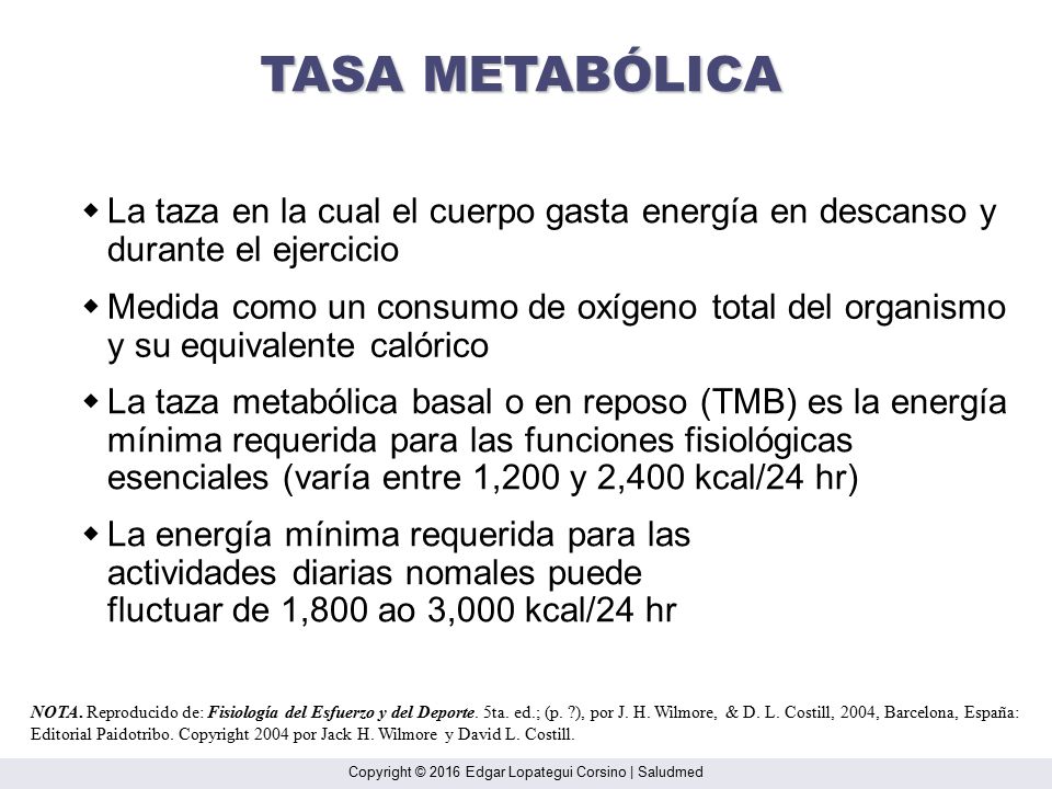 TASA METABÓLICA w La taza en la cual el cuerpo gasta energía en descanso y durante el ejercicio.