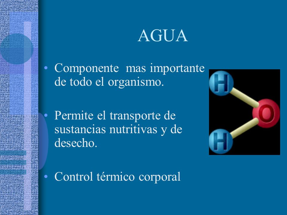 AGUA Componente mas importante de todo el organismo.