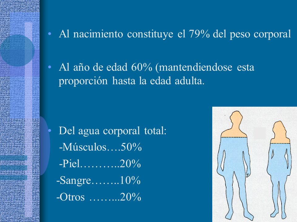 Al nacimiento constituye el 79% del peso corporal