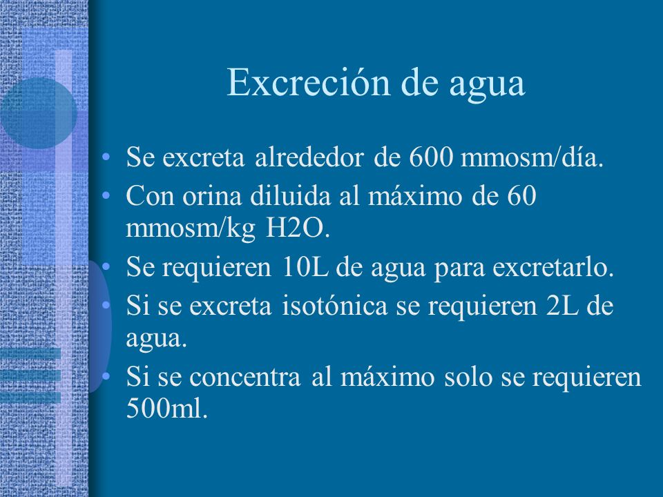 Excreción de agua Se excreta alrededor de 600 mmosm/día.
