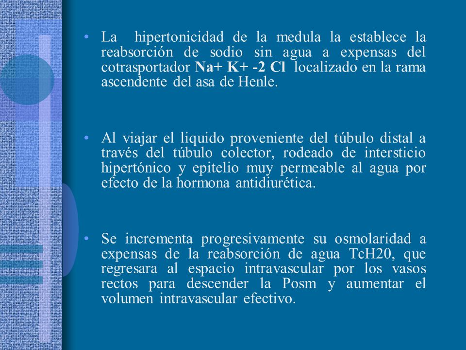 La hipertonicidad de la medula la establece la reabsorción de sodio sin agua a expensas del cotrasportador Na+ K+ -2 Cl localizado en la rama ascendente del asa de Henle.