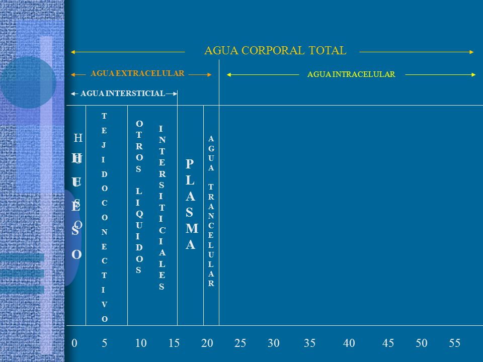 H P U L E A S S M O AGUA CORPORAL TOTAL H U E S O