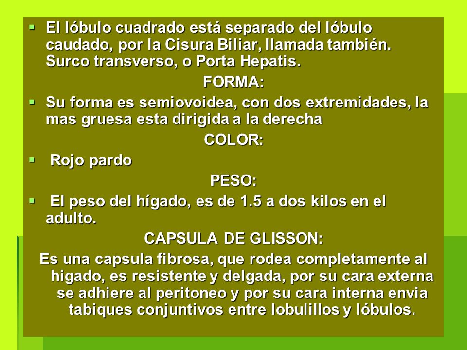 El lóbulo cuadrado está separado del lóbulo caudado, por la Cisura Biliar, llamada también. Surco transverso, o Porta Hepatis.