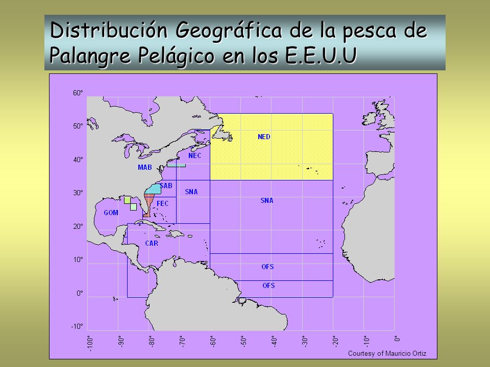 Distribución Geográfica de la pesca de Palangre Pelágico en los E.E.U.U