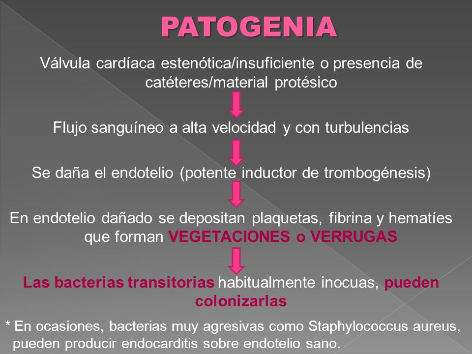 PATOGENIA Válvula cardíaca estenótica/insuficiente o presencia de catéteres/material protésico. Flujo sanguíneo a alta velocidad y con turbulencias.