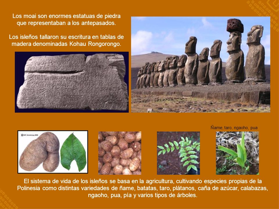 Los moai son enormes estatuas de piedra que representaban a los antepasados.