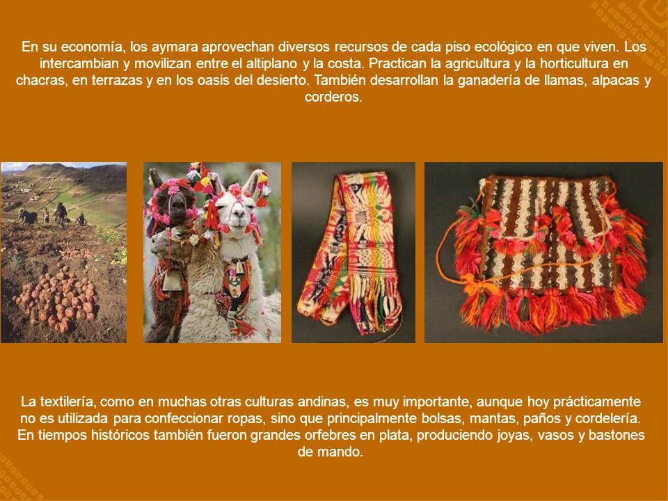 En su economía, los aymara aprovechan diversos recursos de cada piso ecológico en que viven. Los intercambian y movilizan entre el altiplano y la costa. Practican la agricultura y la horticultura en chacras, en terrazas y en los oasis del desierto. También desarrollan la ganadería de llamas, alpacas y corderos.