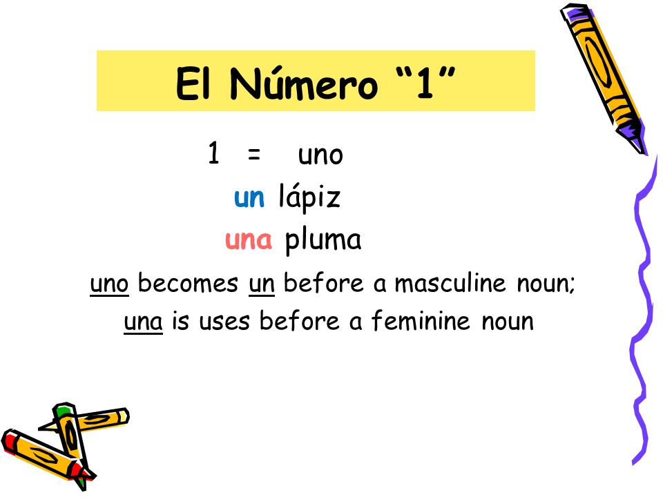El Número 1 1 = uno un lápiz una pluma