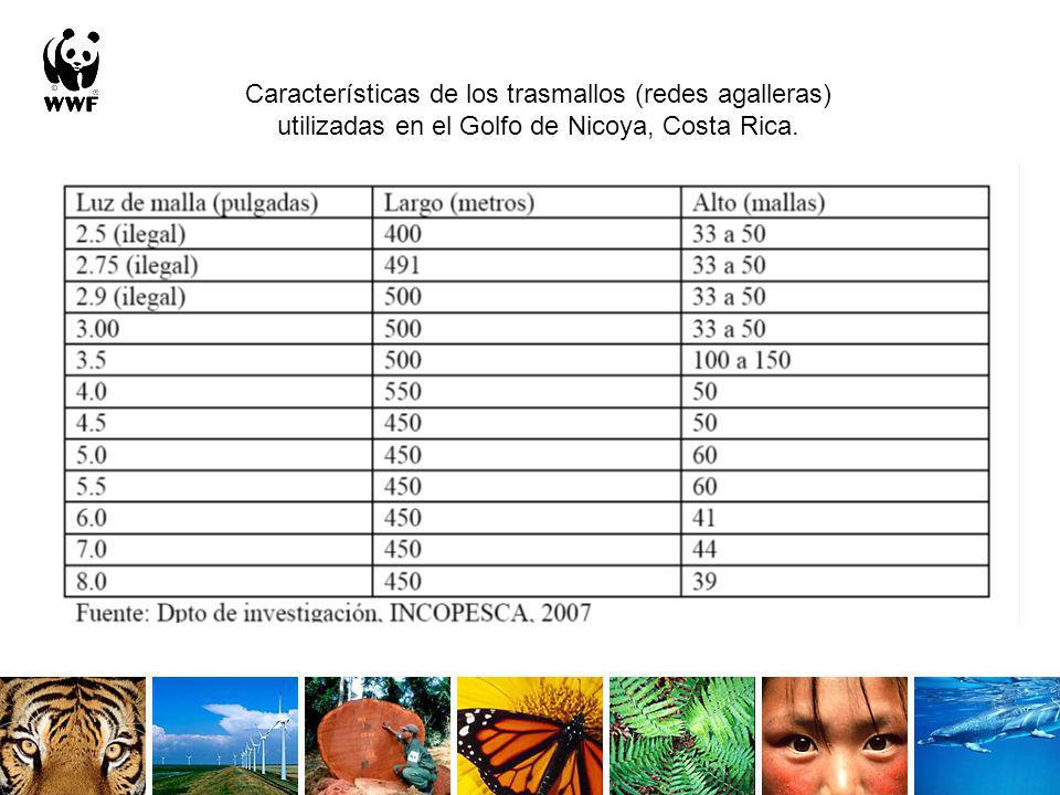 Características de los trasmallos (redes agalleras) utilizadas en el Golfo de Nicoya, Costa Rica.