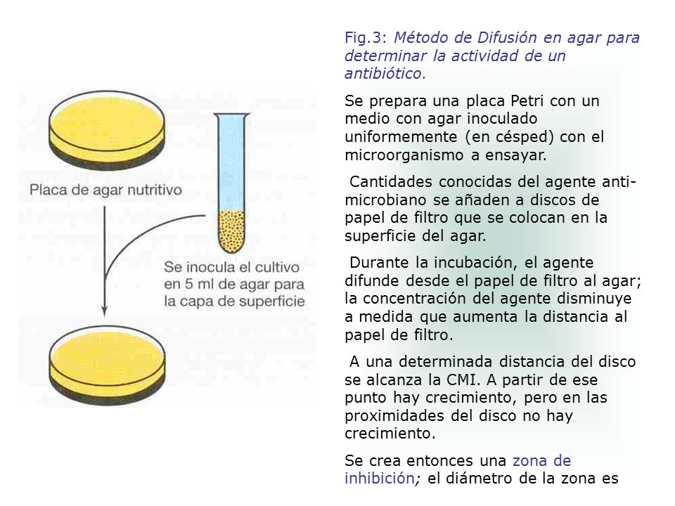 Fig.3: Método de Difusión en agar para determinar la actividad de un antibiótico.