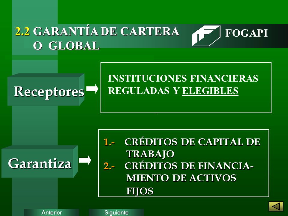 Receptores Garantiza 2.2 GARANTÍA DE CARTERA O GLOBAL FOGAPI