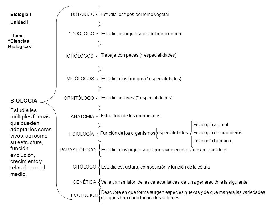 Biología I Unidad I. BOTÁNICO. Estudia los tipos del reino vegetal. * ZOOLOGO. Estudia los organismos del reino animal.