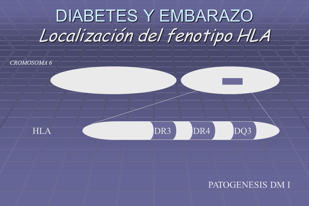 DIABETES Y EMBARAZO Localización del fenotipo HLA