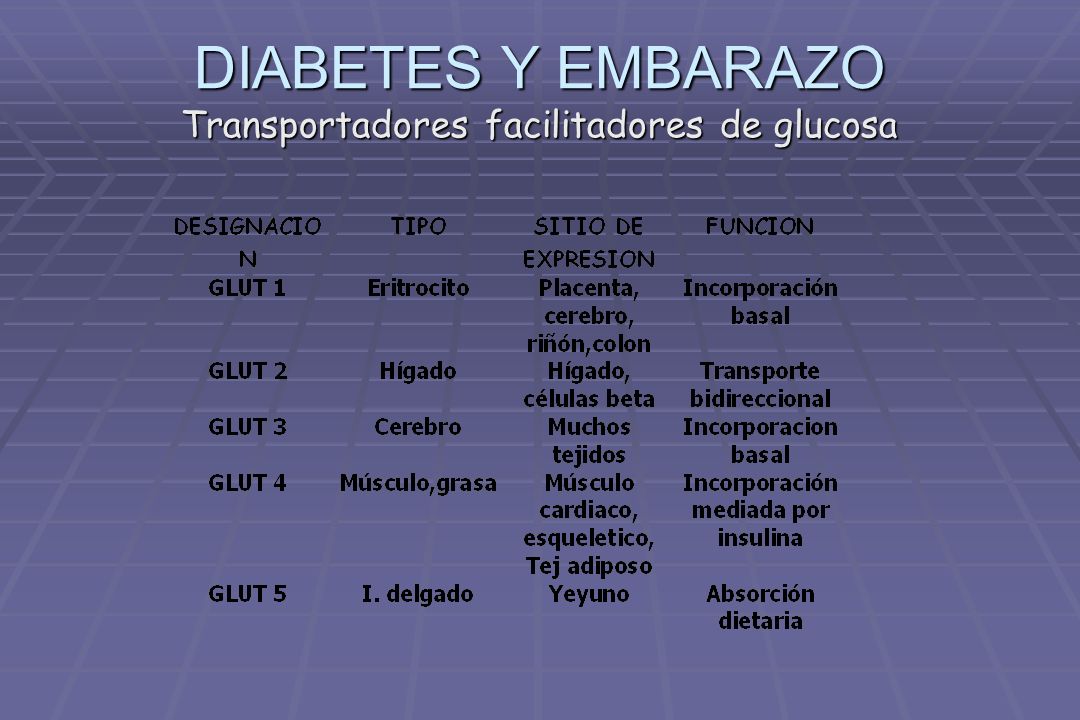 DIABETES Y EMBARAZO Transportadores facilitadores de glucosa