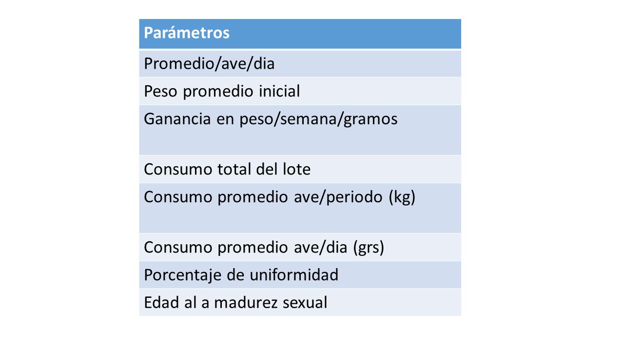 Parámetros Promedio/ave/dia. Peso promedio inicial. Ganancia en peso/semana/gramos. Consumo total del lote.
