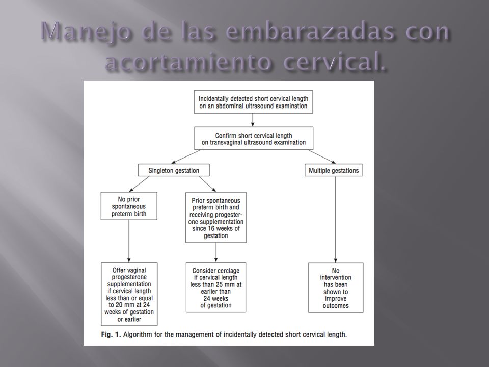 Manejo de las embarazadas con acortamiento cervical.