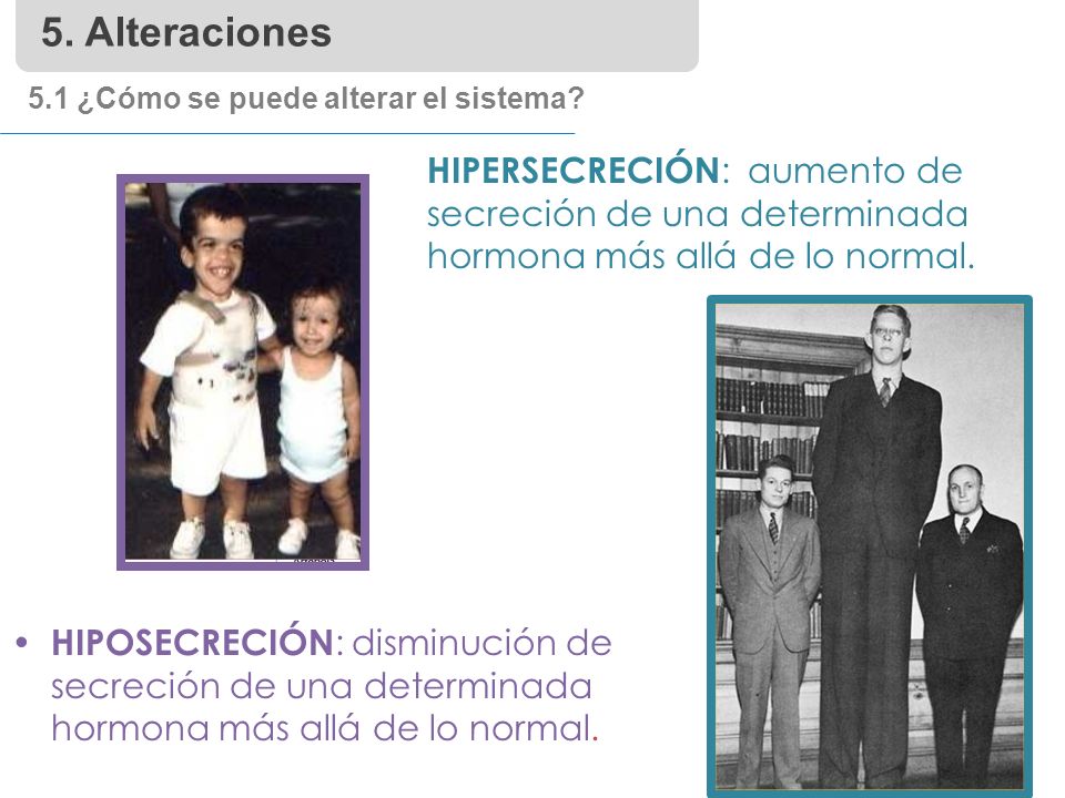5. Alteraciones 5.1 ¿Cómo se puede alterar el sistema HIPERSECRECIÓN: aumento de secreción de una determinada hormona más allá de lo normal.