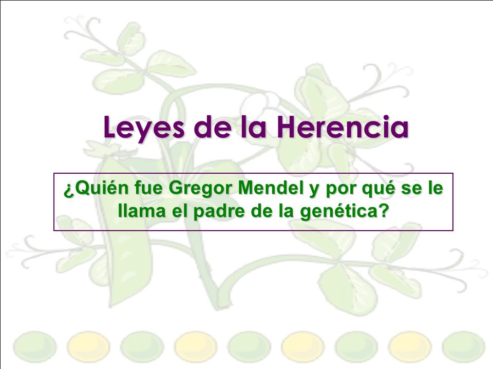 Leyes de la Herencia ¿Quién fue Gregor Mendel y por qué se le llama el padre de la genética