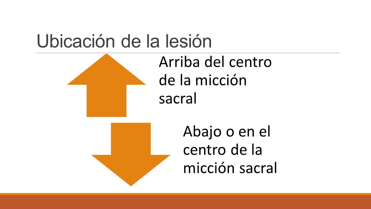 Ubicación de la lesión Arriba del centro de la micción sacral