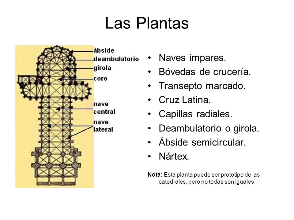 Las Plantas Naves impares. Bóvedas de crucería. Transepto marcado.