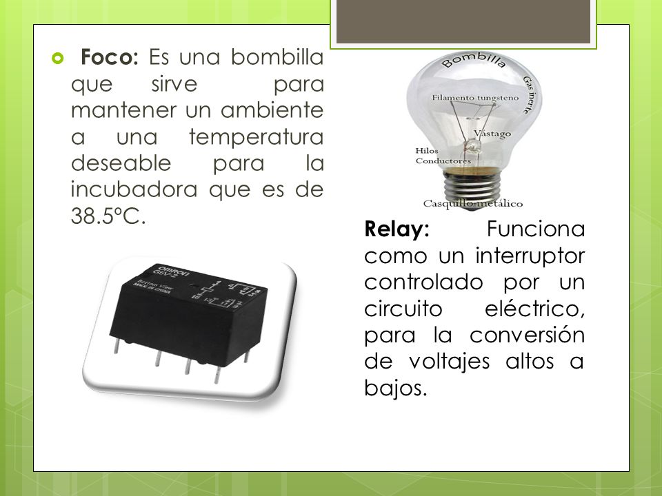 Foco: Es una bombilla que sirve para mantener un ambiente a una temperatura deseable para la incubadora que es de 38.5ºC.