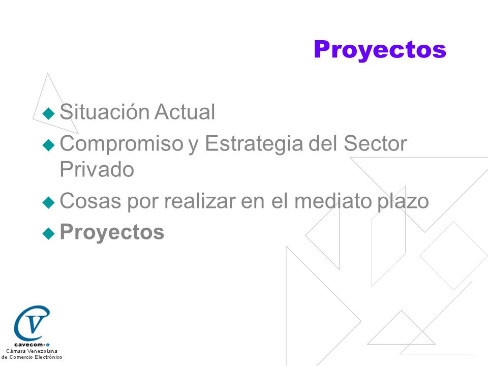 Proyectos Situación Actual Compromiso y Estrategia del Sector Privado