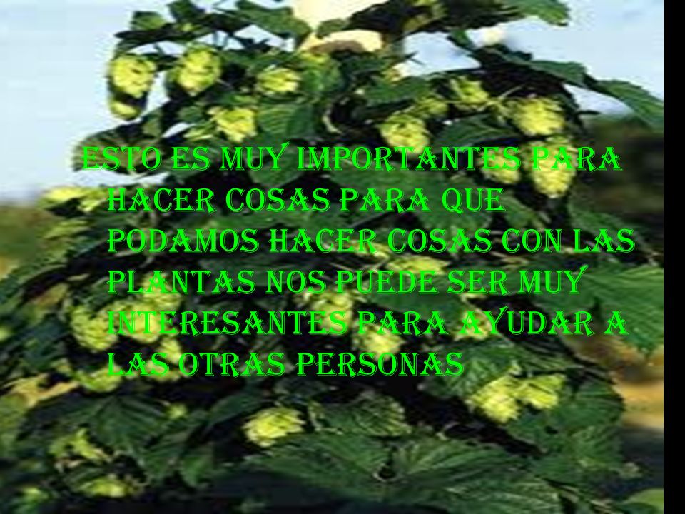 Esto es muy importantes para hacer cosas para que podamos hacer cosas con las plantas nos puede ser muy interesantes para ayudar a las otras personas