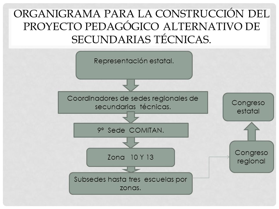 Organigrama para la construcción del proyecto pedagógico alternativo de secundarias técnicas.