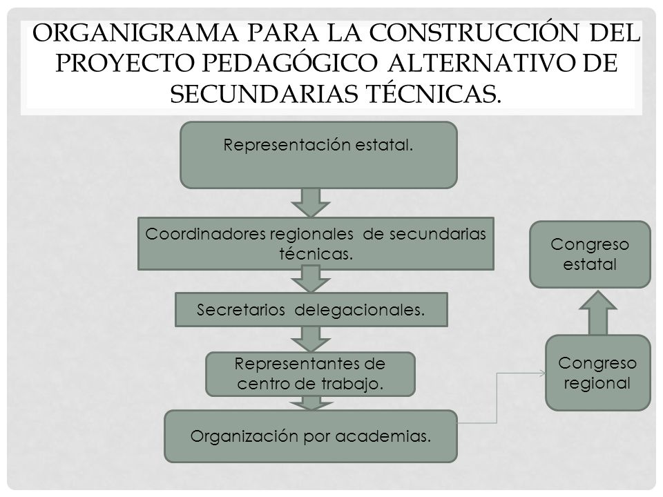 Organigrama para la construcción del proyecto pedagógico alternativo de secundarias técnicas.