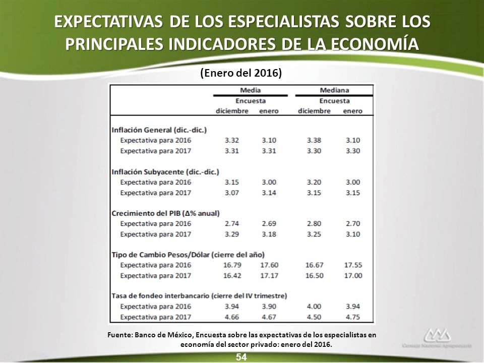 EXPECTATIVAS DE LOS ESPECIALISTAS SOBRE LOS PRINCIPALES INDICADORES DE LA ECONOMÍA