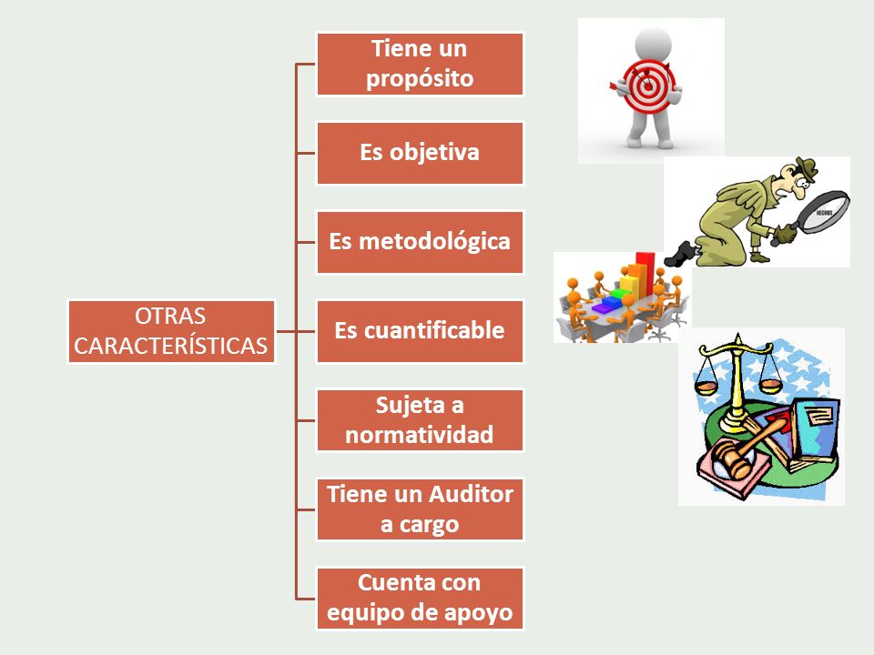 Tiene un Auditor a cargo Cuenta con equipo de apoyo
