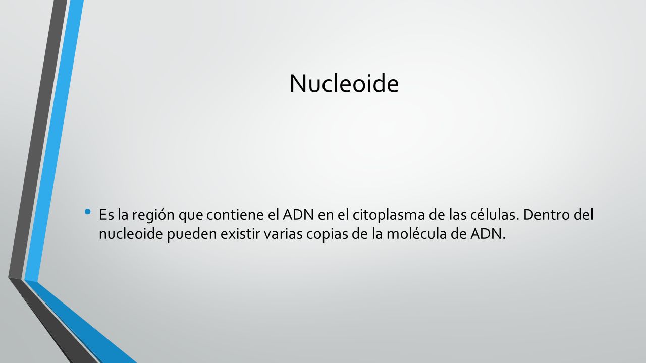 Nucleoide Es la región que contiene el ADN en el citoplasma de las células.