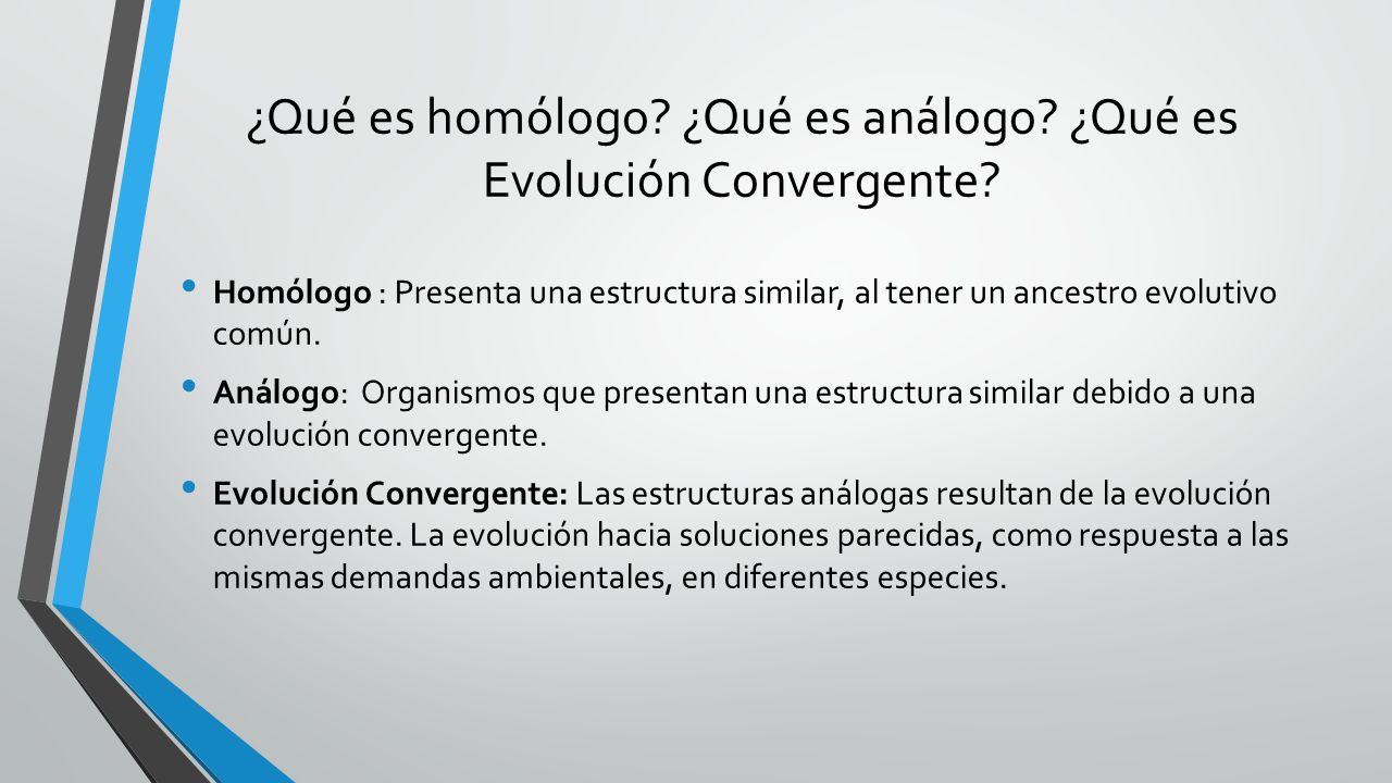 ¿Qué es homólogo ¿Qué es análogo ¿Qué es Evolución Convergente