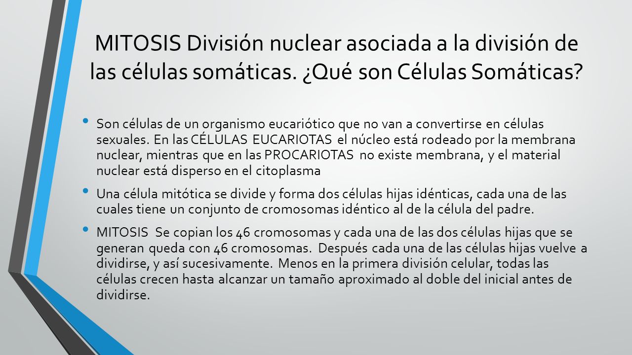 MITOSIS División nuclear asociada a la división de las células somáticas. ¿Qué son Células Somáticas