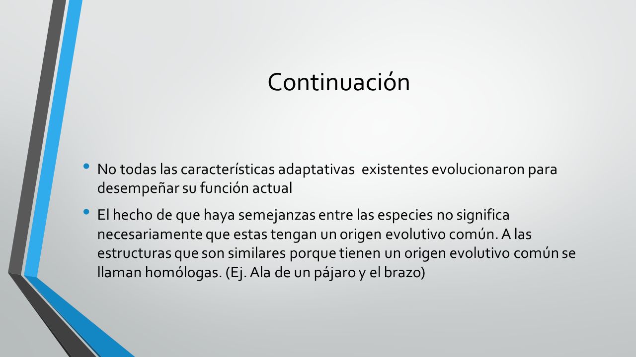 Continuación No todas las características adaptativas existentes evolucionaron para desempeñar su función actual.