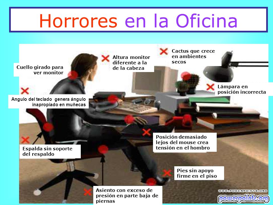 Horrores en la Oficina Cactus que crece en ambientes secos