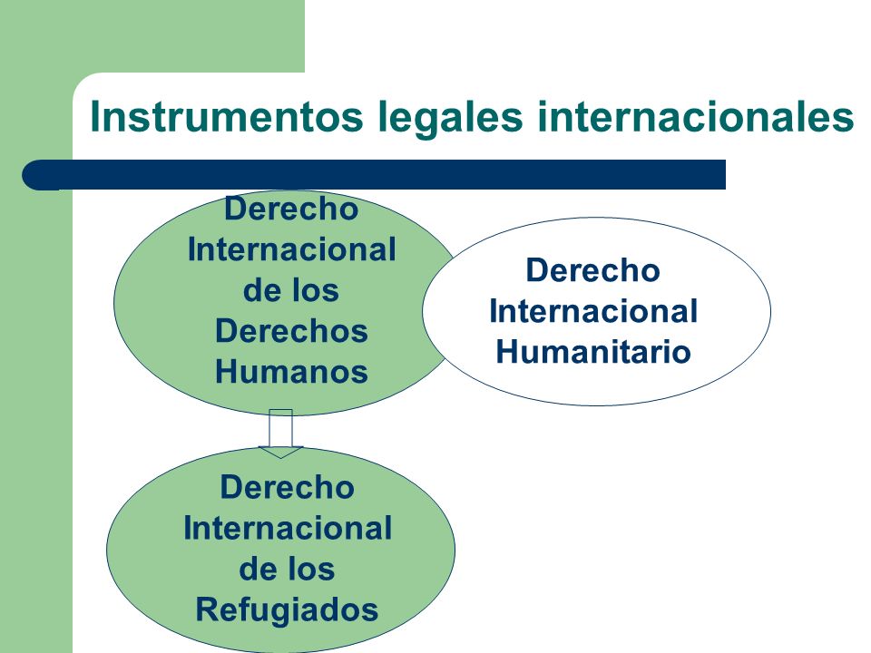 Instrumentos legales internacionales
