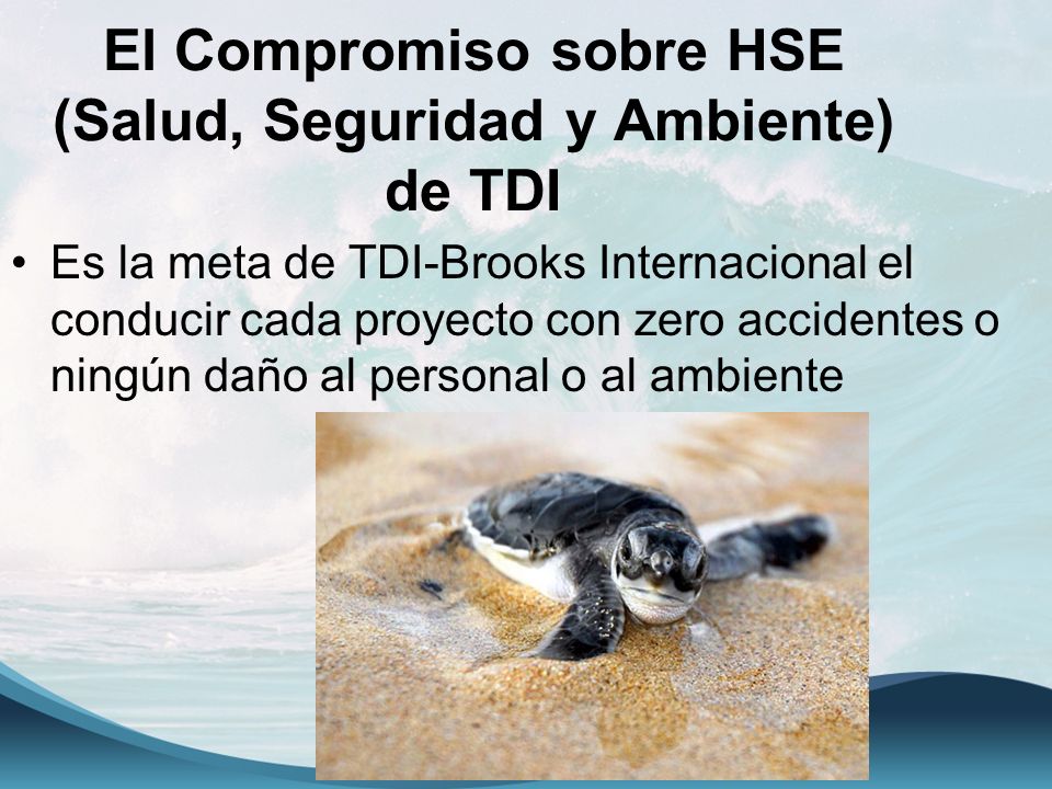 El Compromiso sobre HSE (Salud, Seguridad y Ambiente) de TDI