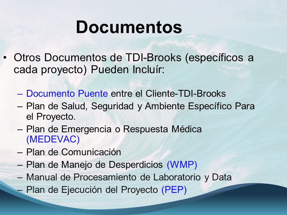 Documentos Otros Documentos de TDI-Brooks (específicos a cada proyecto) Pueden Incluír: Documento Puente entre el Cliente-TDI-Brooks.