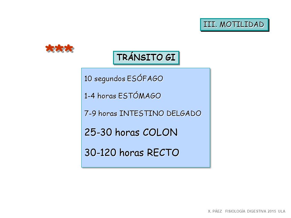 *** horas COLON horas RECTO TRÁNSITO GI III. MOTILIDAD