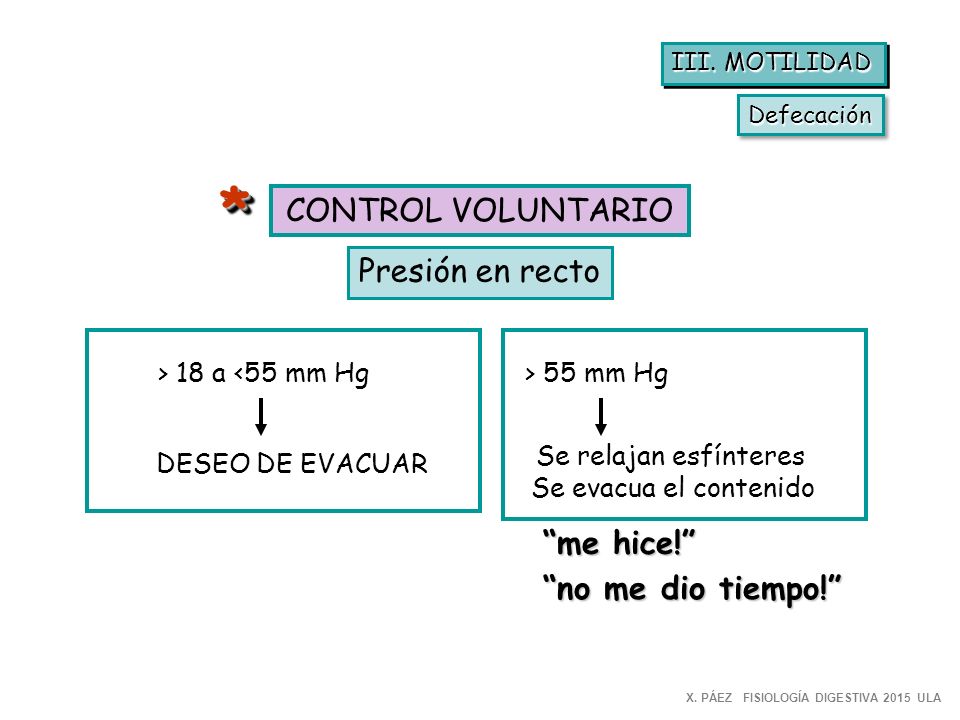 * CONTROL VOLUNTARIO Presión en recto me hice! no me dio tiempo!