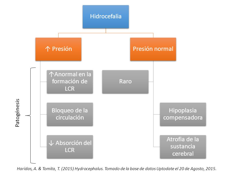 Hidrocefalia ↑ Presión. ↑Anormal en la formación de LCR. Bloqueo de la circulación. ↓ Absorción del LCR.